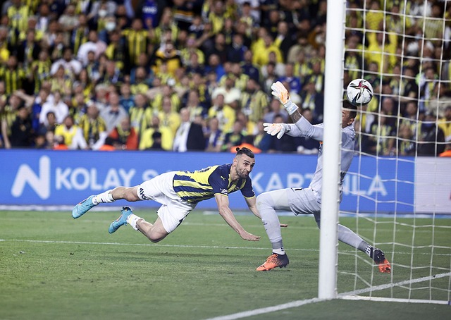 的风险模拟 的风险模拟