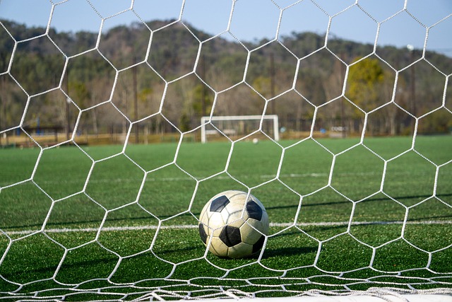 受瞩目的球 受瞩目的球