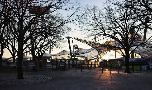 在篮球的世 在篮球的世