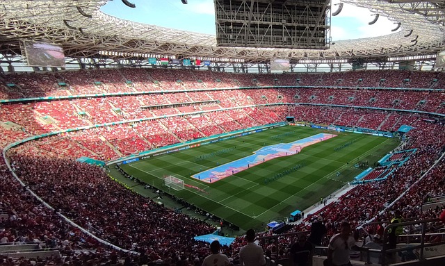 但不可否认 但不可否认